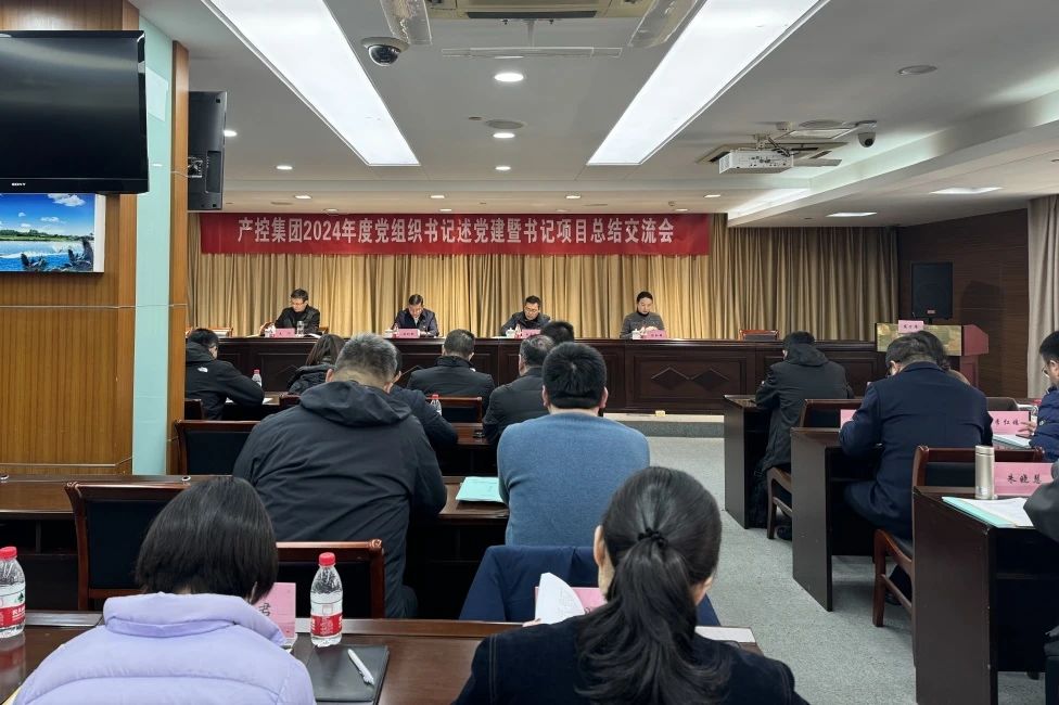 產(chǎn)控集團(tuán)召開(kāi)2024年度黨組織書記述黨建暨書記項(xiàng)目...